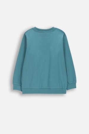 COCCODRILLO pikkade varrukatega t-särk, rohelised, 