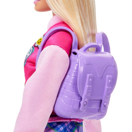 BARBIE koolimängu komplekt, HRG84 