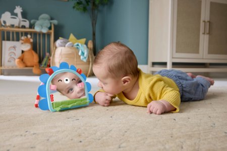 FISHER-PRICE 2-ühes peegel, JHB45 