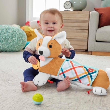 FISHER-PRICE kutsika kõhupadi HJW10