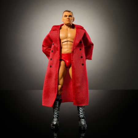 WWE Top Picks Elite maadleja figuur, assortii, 15 cm, GNM28 