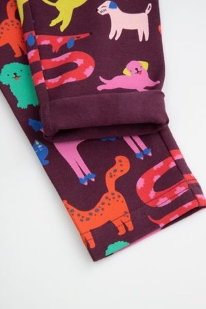 COCCODRILLO leggingud ACADEMY GIRL KIDS, värviline, cm