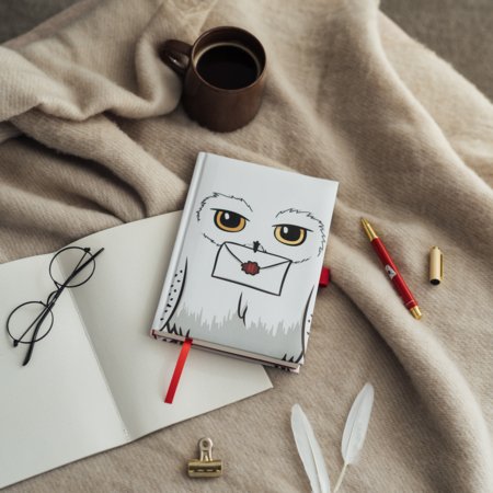 HARRY POTTER märkmik Hedwigi pastakaga A5, CPA5059 