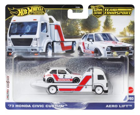 HOT WHEELS rallitiimi komplekt assortii, FLF56 