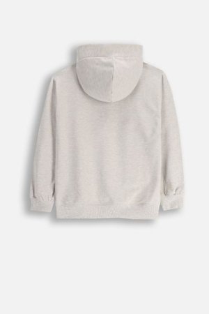 COCCODRILLO kapuutsiga kampsun LICENCE GIRL, hall, WC5132301LGD-019-164, 164 cm 