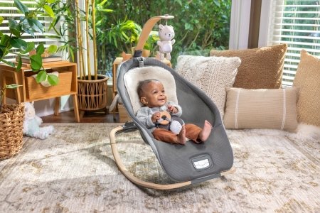 INGENUITY lamamistool EVERY SEASON Wesley™ 0 - 30 kuud, GREY, 16855 