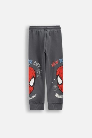 COCCODRILLO püksid, hallid, 