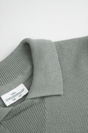 COCCODRILLO lühikeste varrukatega polo särk, rohelised, suurus 