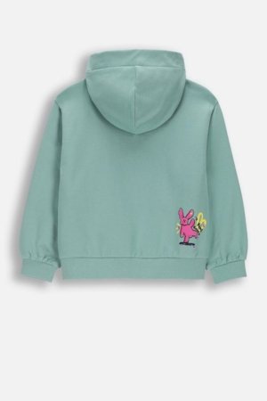 COCCODRILLO kapuutsiga tõmblukuga pusa, roheline, cm 