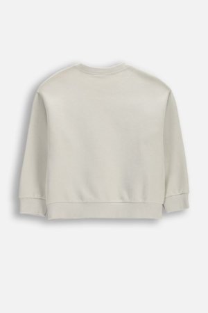 COCCODRILLO pusa, hall, 