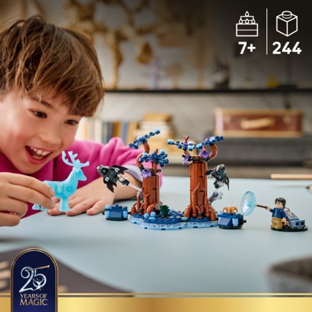 76475 LEGO® Harry Potter™ Keelatud mets: Expecto Patronum 