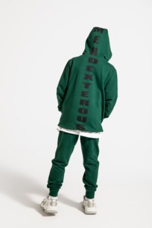 COCCODRILLO hoodie EVERYDAY BOY A, roheline, ZC4132301VBA-011-152, 152 cm 