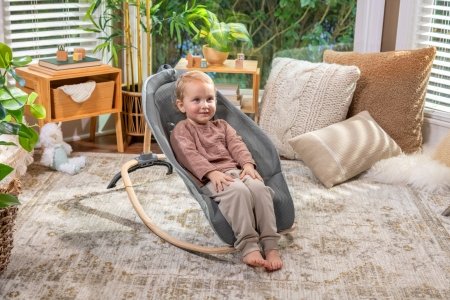 INGENUITY lamamistool EVERY SEASON Wesley™ 0 - 30 kuud, GREY, 16855 