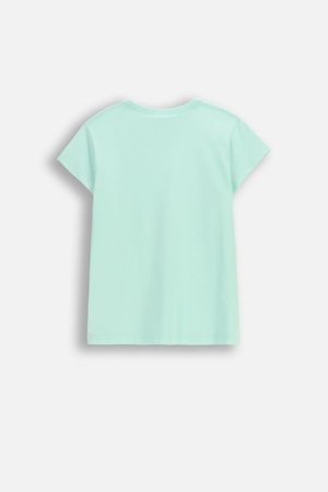 COCCODRILLO lühikeste varrukatega t-särk, mint, cm 