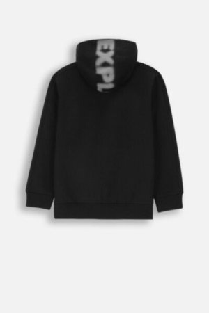 COCCODRILLO sweatshirt FOREST FRIENDS JUNIOR, must, ZC4132601FBJ-021-164, 164 cm 