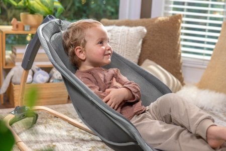 INGENUITY lamamistool EVERY SEASON Wesley™ 0 - 30 kuud, GREY, 16855 