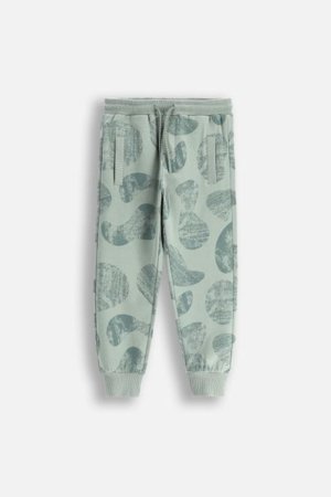 COCCODRILLO püksid SAGE TIME BOY KIDS, roheline, WC5120103SBK-027-122, 122 cm 