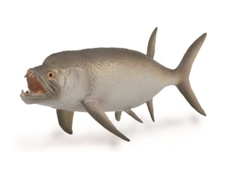 COLLECTA figuur xiphactinus, 88928 