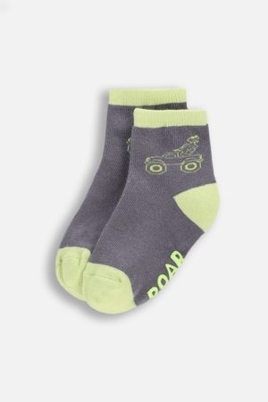 COCCODRILLO sokid, pruunid, WC6382404SOB-019-019, 19/22 cm 