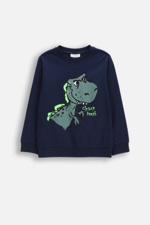 COCCODRILLO pikkade varrukatega t-särk, sinised, cm 