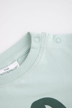 COCCODRILLO pikkade varrukatega t-särk, rohelised, WC6143103HBN-031-080, 80 suurus 