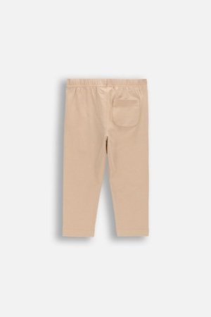 COCCODRILLO retuusid, beež, WC6122102MBN-002-074, 74 suurus 