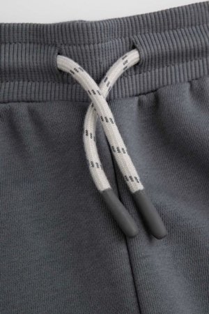 COCCODRILLO püksid, hallid, 