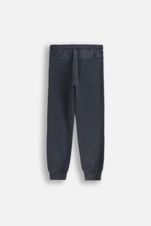 COCCODRILLO püksid EVERYDAY BOY A, hall, ZC5120101VBA-020-146, 146 cm 