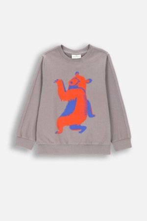 COCCODRILLO t-shirt FOREST FRIENDS KIDS, hallid, ZC4143104FBK-019-122, 122 cm 