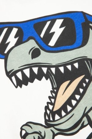 COCCODRILLO lühikeste varrukatega t-särk, beež, cm 