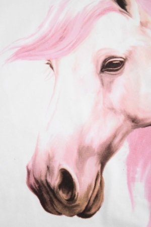 COCCODRILLO lühikeste varrukatega t-särk, valged, cm 