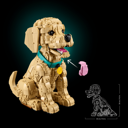 11384 LEGO® Icons Kuldse retriiveri kutsikas 