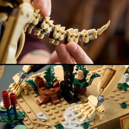 77985 LEGO® Jurassic World Dinosauruse fossiilid: Triceratops 