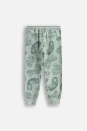 COCCODRILLO püksid SAGE TIME BOY KIDS, roheline, WC5120103SBK-027-122, 122 cm 