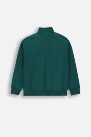 COCCODRILLO pullover with zipper ACADEMY BOY JUNIOR, roheline, ZC4132202ABJ-011-164, 164 cm 