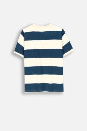COCCODRILLO short sleeved t-shirt ACADEMY BOY JUNIOR, sinised, ZC4143201ABJ-014-152, 152 cm 