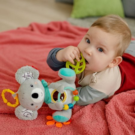 BABYFEHN DoBabyDoo tegevuskoaala, 49121 