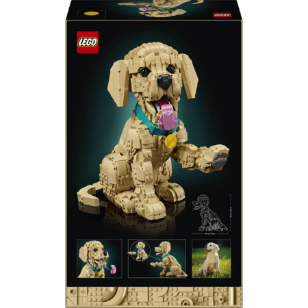 11384 LEGO® Icons Kuldse retriiveri kutsikas 