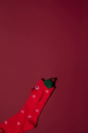 COCCODRILLO sokid, punased, ZC5382207MER-009-030, 30-33 cm 