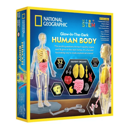 NATIONAL GEOGRAPHIC komplekt Glow in the Dark Human Body, RTHUMBODY