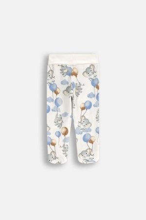 COCCODRILLO säärised UNDERWEAR SPECIAL BOY, kreemjas, WC5403101USB-003-074, 74 cm 