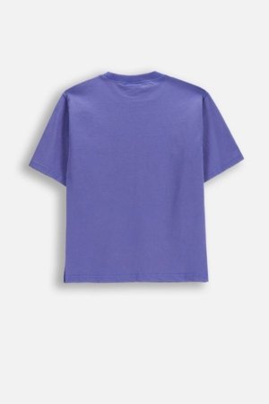 COCCODRILLO lühikeste varrukatega t-särk, lillad, suurus 