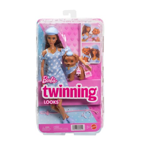 BARBIE stiilsed sõbrad - Brünett nukk, JFP38 