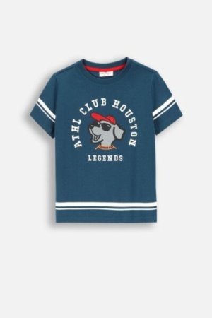 COCCODRILLO short sleeved t-shirt ACADEMY BOY KIDS, sinised, ZC4143202ABK-014-098, 98 cm 
