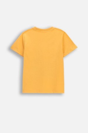 COCCODRILLO lühikeste varrukatega t-särk, oranžid, WC6143203MBK-006-122, 122 cm 