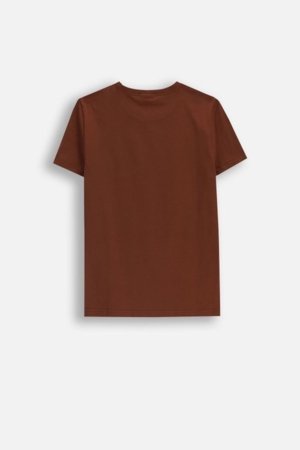 COCCODRILLO t-särgid, pruun, ZC5143216VGA-018-134, 134 cm 