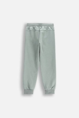 LEMON püksid ACTIVE BOY, roheline, WL5120101ACB-012-146, 146 