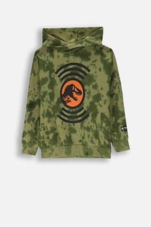 COCCODRILLO sweatshirt LICENCE BOY, roheline, ZC4132302LBD-011-164, 164 cm 
