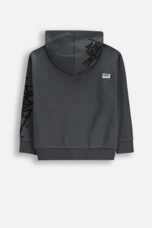 COCCODRILLO kapuutsiga tõmblukuga pusa, hall, cm 