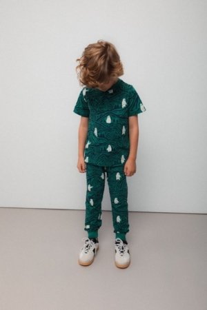 COCCODRILLO t-särk, mitmevärviline, cm 